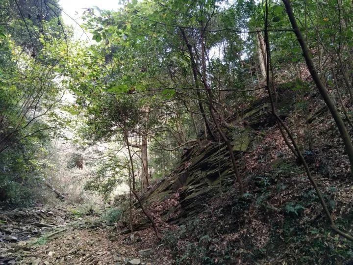 狂暴重装机甲3中文版